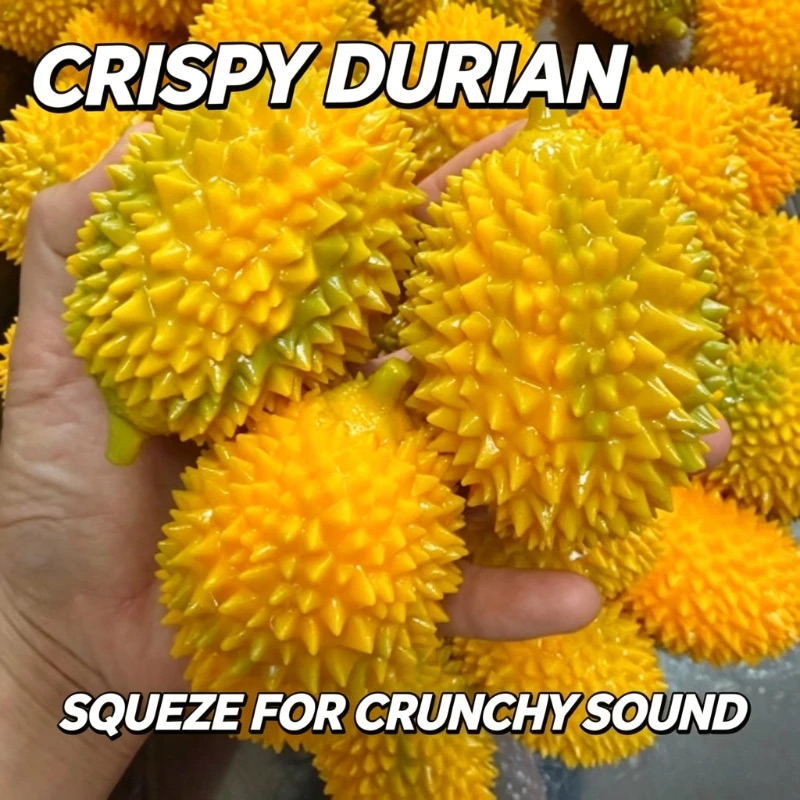Balles anti-stress Durian Squi - Crystal Growing Kit avis et prix